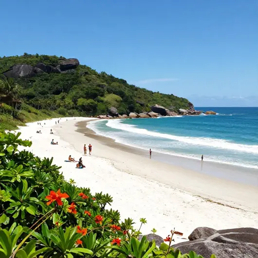 Descubra a Praia do Abricó: Um Refúgio Natural no Recreio dos Bandeirantes