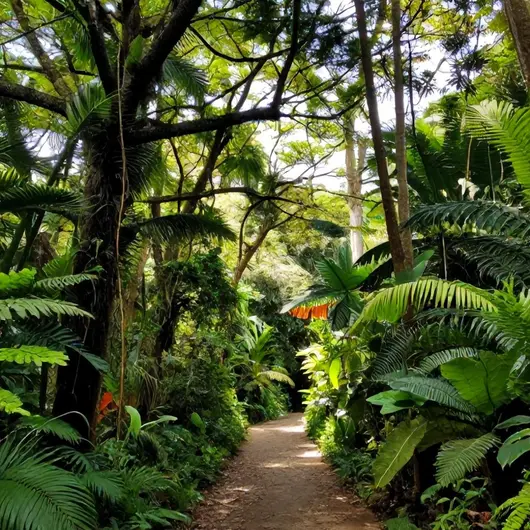 Descubra a Reserva Onze Recreio
