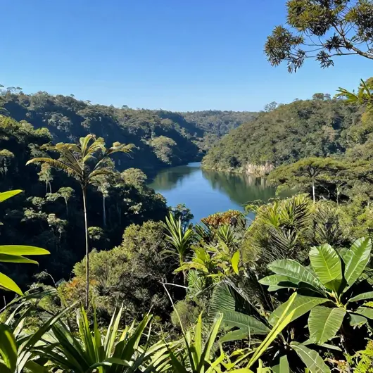 Descubra o Parque Nacional da Tijuca