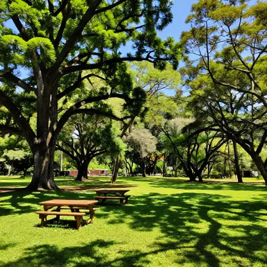 Descubra o Parque Natural Municipal de Marapendi