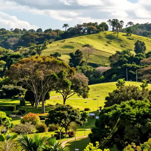 Descubra o Parque Natural Municipal de Nova Iguaçu