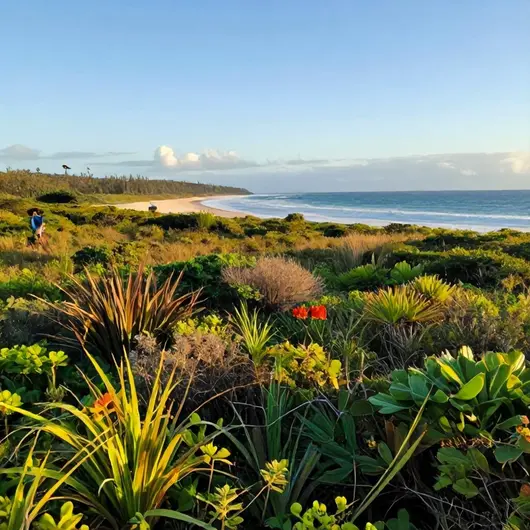 Explorando a Restinga do Recreio dos Bandeirantes: Natureza e Biodiversidade Explorando a Restinga do Recreio dos Bandeirantes: Natureza e Biodiversidade