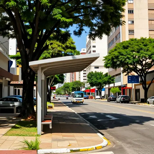 Linha 55 Circular Recreio Dos Bandeirantes E Terra Nova: Seu Guia de Transporte
