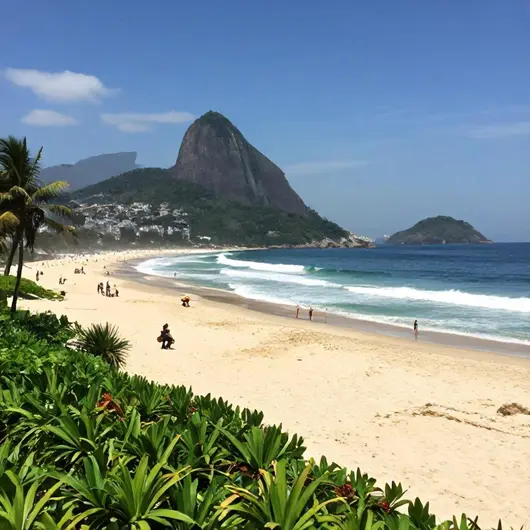 Praia do Abricó: Um Paraíso no Rio de Janeiro Praia do Abricó: Um Paraíso no Rio de Janeiro