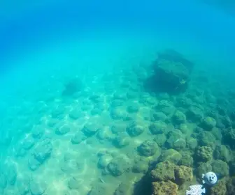 Nova reserva marinha de 3 mil hectares é criada entre Barra de Guaratiba e Recreio; o que muda
