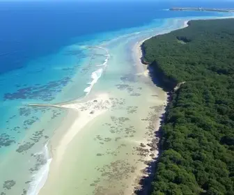 Nova reserva marinha protege litoral entre Barra de Guaratiba e o Recreio