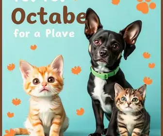 Recreio Shopping promove campanha de adoção de cães e gatos no dia 10 de outubro